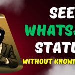 How to Determine Who Viewed Your WhatsApp Status Without Being Listed In 2024